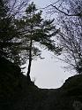 Görauer Anger (10)